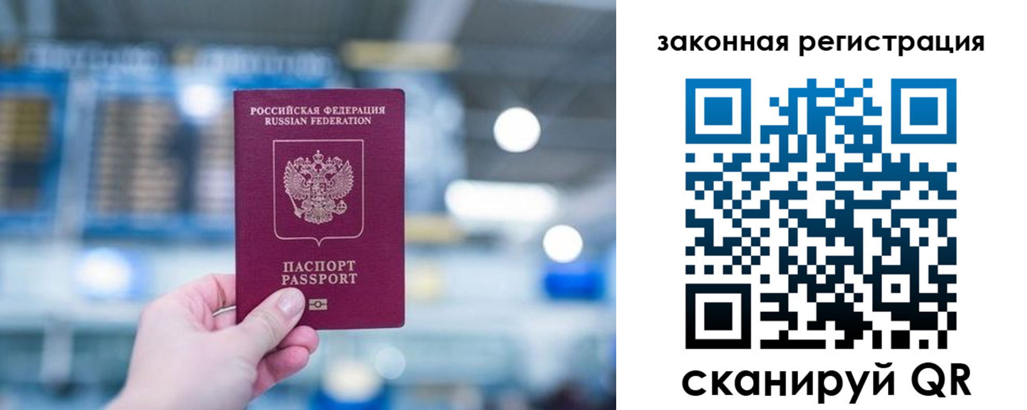прописка поиск в Приозерске
